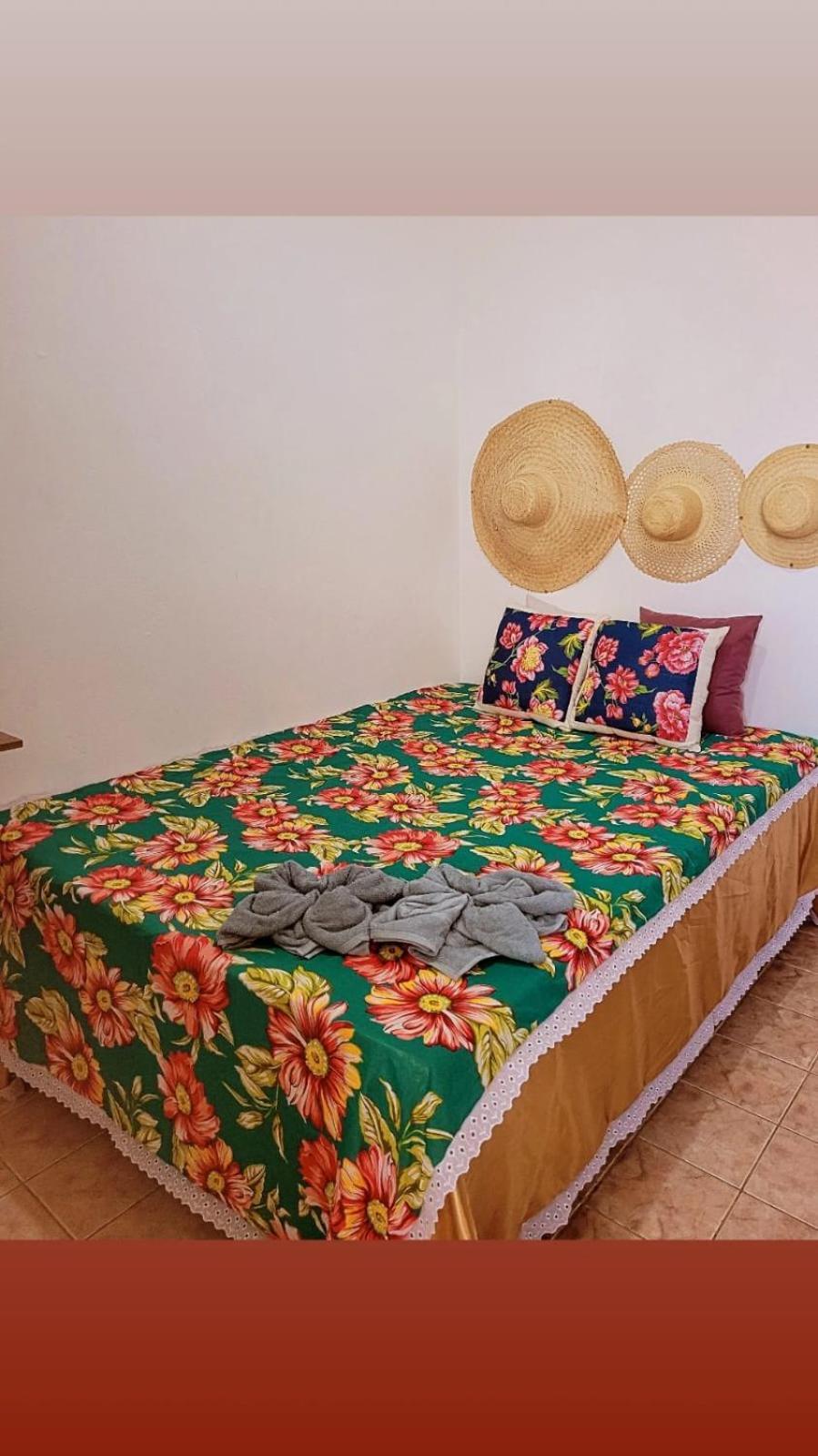 Hotel Do Frances 3*